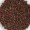 Allspice Berry