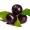 Achyranthes
