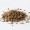Anise