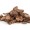 Atractylodes
