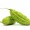 Balsam Pear