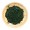 Chlorella