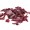 Dulse