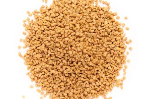 Fenugreek
