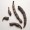 Grains of Selim