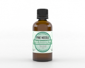 Pine Needle - Pure Essential Oil